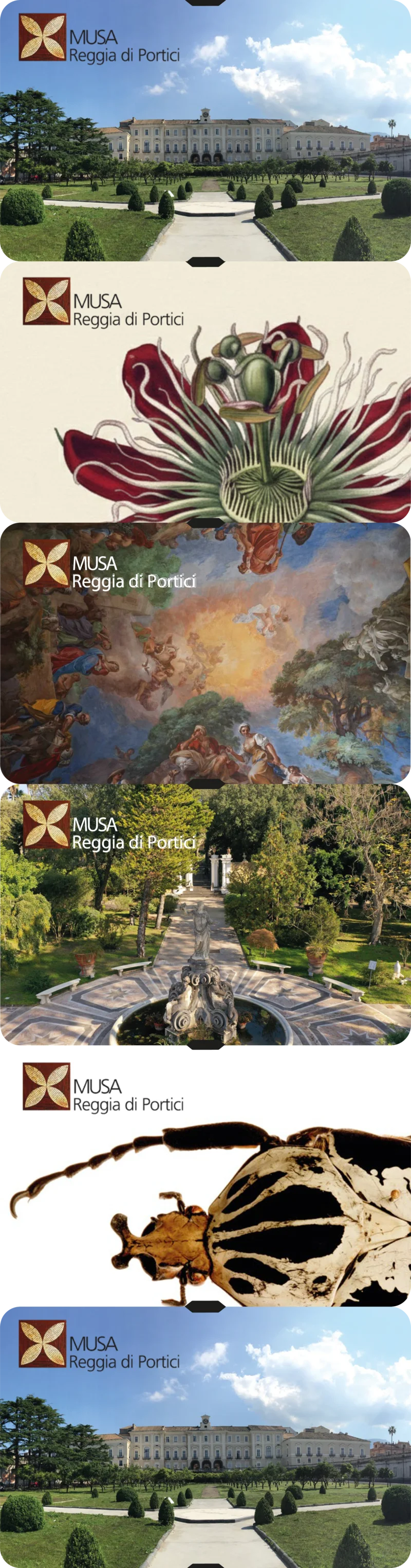 I cinque soggetti del biglietto premium MUSA — Reggia di Portici